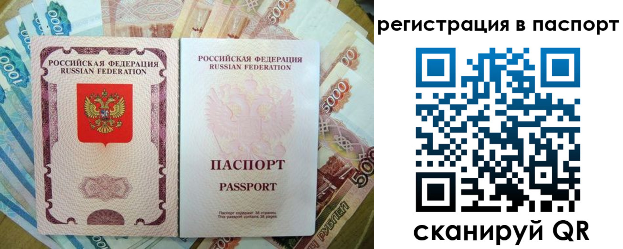 прописка поиск в Березниках
